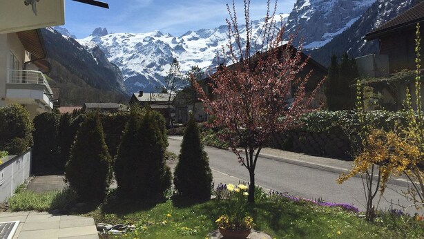 Un quartier résidentiel avec une route, un petit jardin agrémenté de plantes à fleurs et une chaîne de montagnes en arrière-plan.