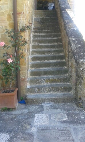 Detalle del exterior