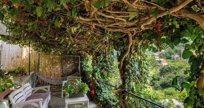 đșVilla dei Fiori â Elegance, Nature & Serenity on the Sorrento Coast