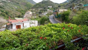 A hillside village with buildings, a winding road, and lush greenery. - 🌺Villa dei Fiori – Elegance, Nature & Serenity on the Sorrento Coast (Vico Equense)