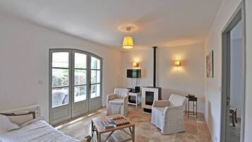 Télévision, cheminée, jeux vidéo, lecteur de DVD