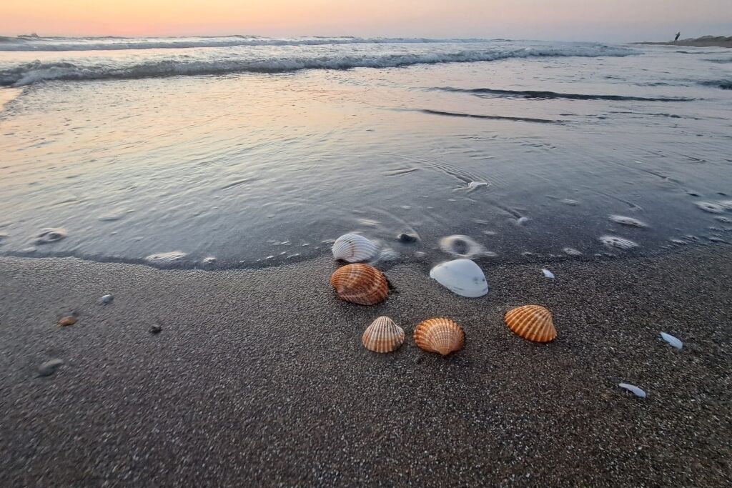 Spiaggia