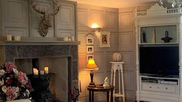 TV connectée, cheminée, lecteur de DVD, livres