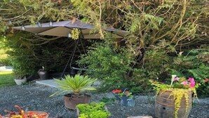 A garden with various potted plants, a wooden table with a dish of food, and a rustic wooden barrel.
