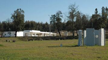 A modern building with a flat roof and white walls, surrounded by a grassy field and trees.