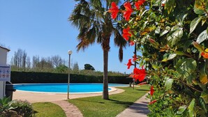A swimming pool area with a clear blue pool, a paved pathway, and lush greenery including palm trees and red flowers.