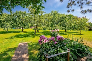 A garden with a paved path, flowering plants, and trees.