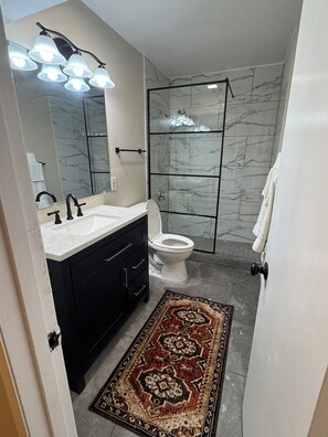 Shower, towels, toilet paper