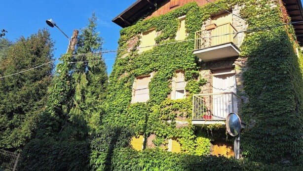 A multi-story building with a balcony on the second floor, surrounded by lush greenery. - Dinky's apartment with forest view balcony (Magreglio)