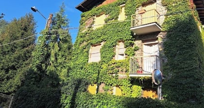 Dinky's apartment with forest view balcony