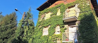 Dinky's apartment with forest view balcony