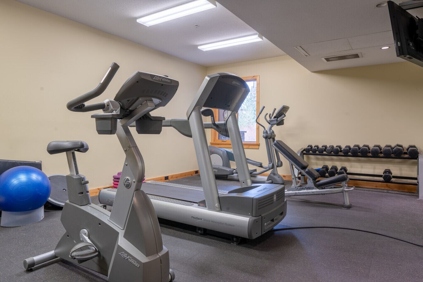 A gym with treadmills, elliptical machines, and a rack of dumbbells.