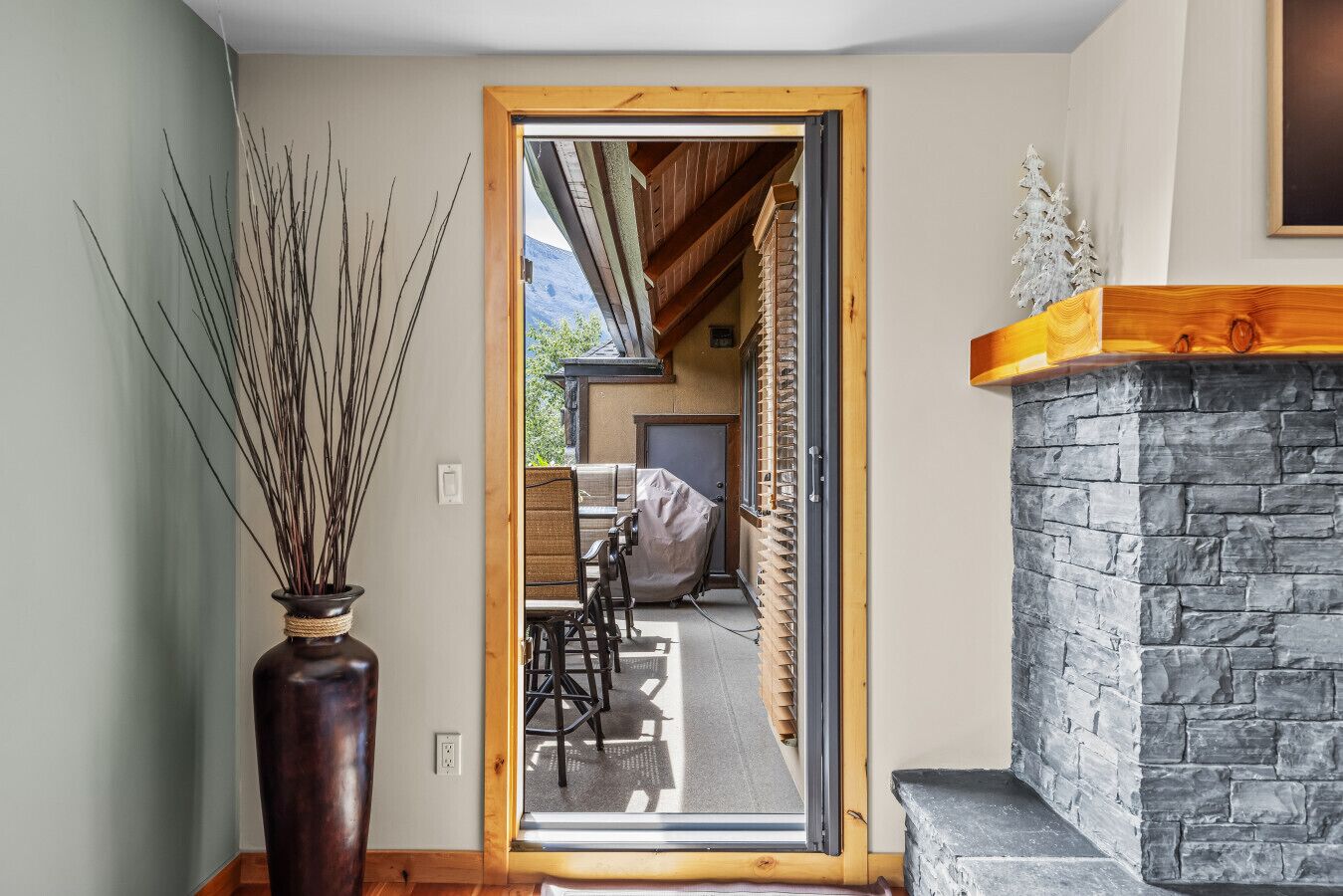 A room with a stone fireplace, a wooden door leading to an outdoor area, and a tall vase with branches.