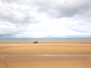 Una playa con un carruaje tirado por caballos sobre la arena.