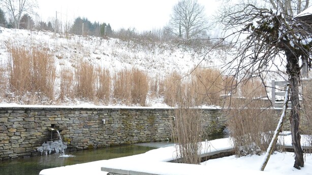 En stenmur med en liten bäck som rinner över den, omgiven av snötäckt mark och gles vegetation.