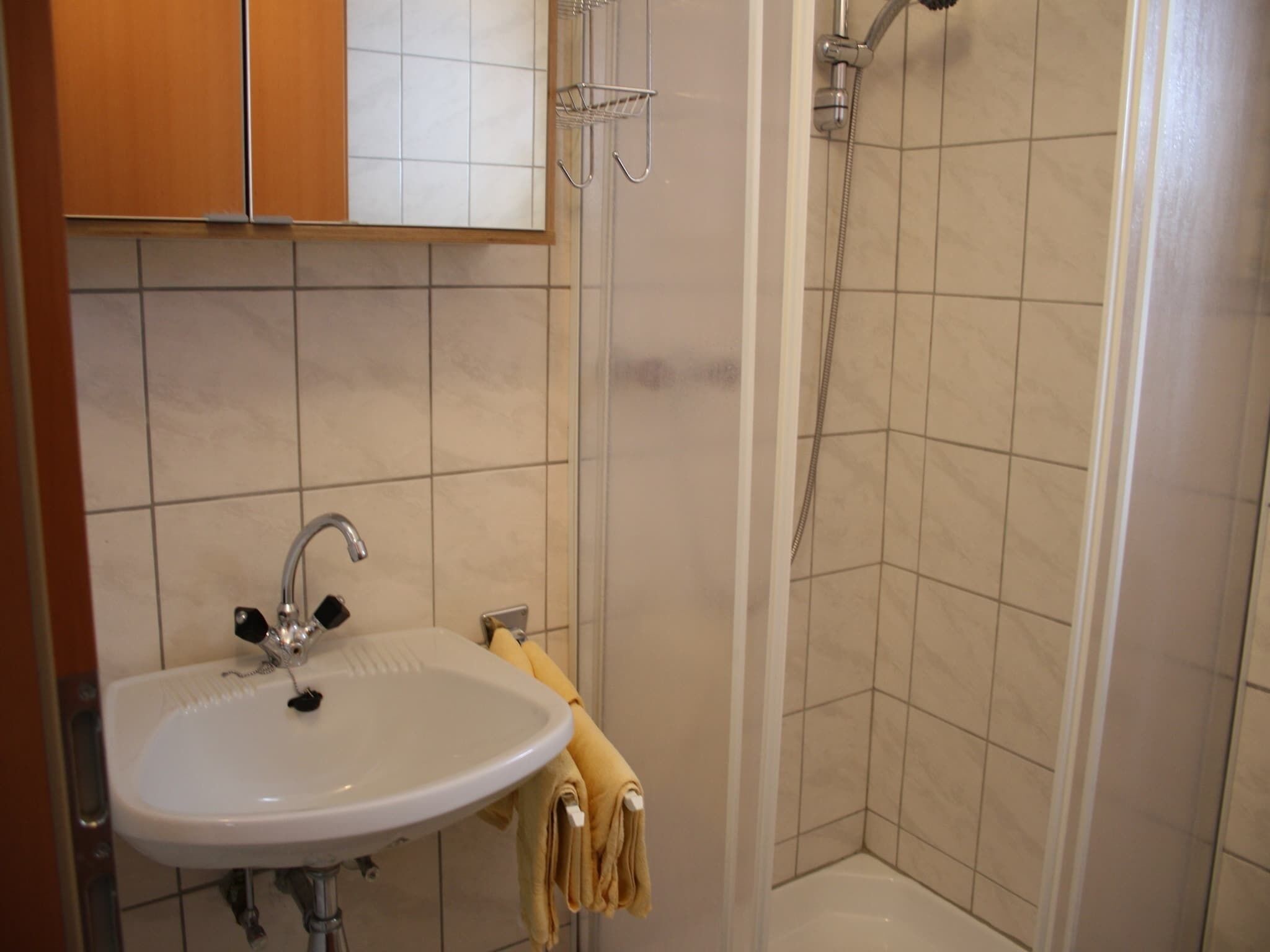 Ein Badezimmer mit Waschbecken, Dusche und Handtuchhalter.