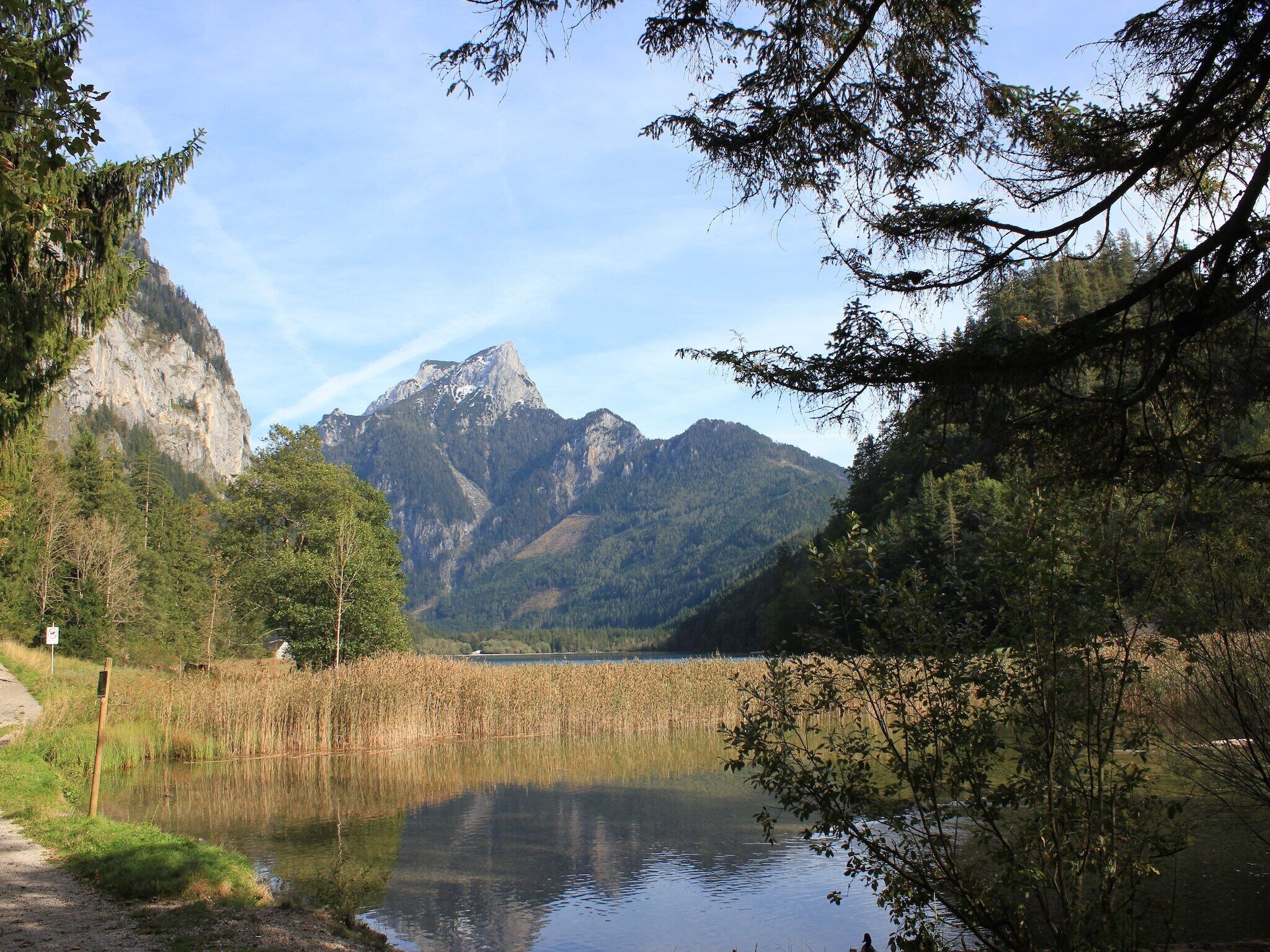 Un llac tranquil amb muntanyes al fons, envoltat per un bosc dens.