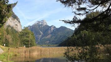 Un llac tranquil amb muntanyes al fons, envoltat per un bosc dens.