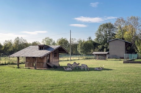 公寓 | 3 多间卧室