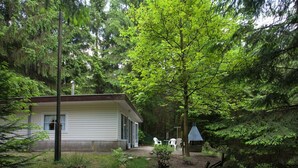 A cabin with a porch, surrounded by dense forest.