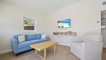 Fernseher, Arbeitsbereiche