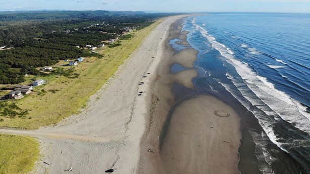An aerial view of a beach with a clear sky, a sandy shore, and a forested area with buildings.