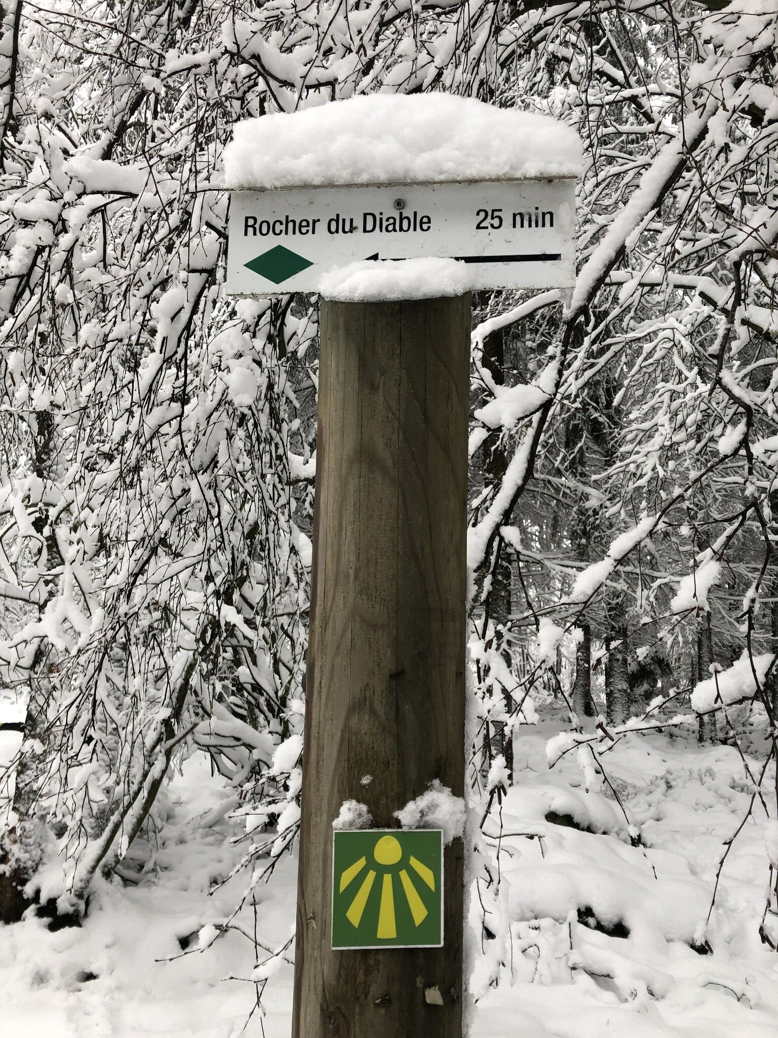 Immediate Surroundings [winter] (<1 km)