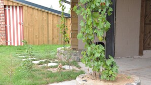 A stone planter with a grapevine in a residential setting. - Farmhouse Retreat, Fernelmont (Forville)