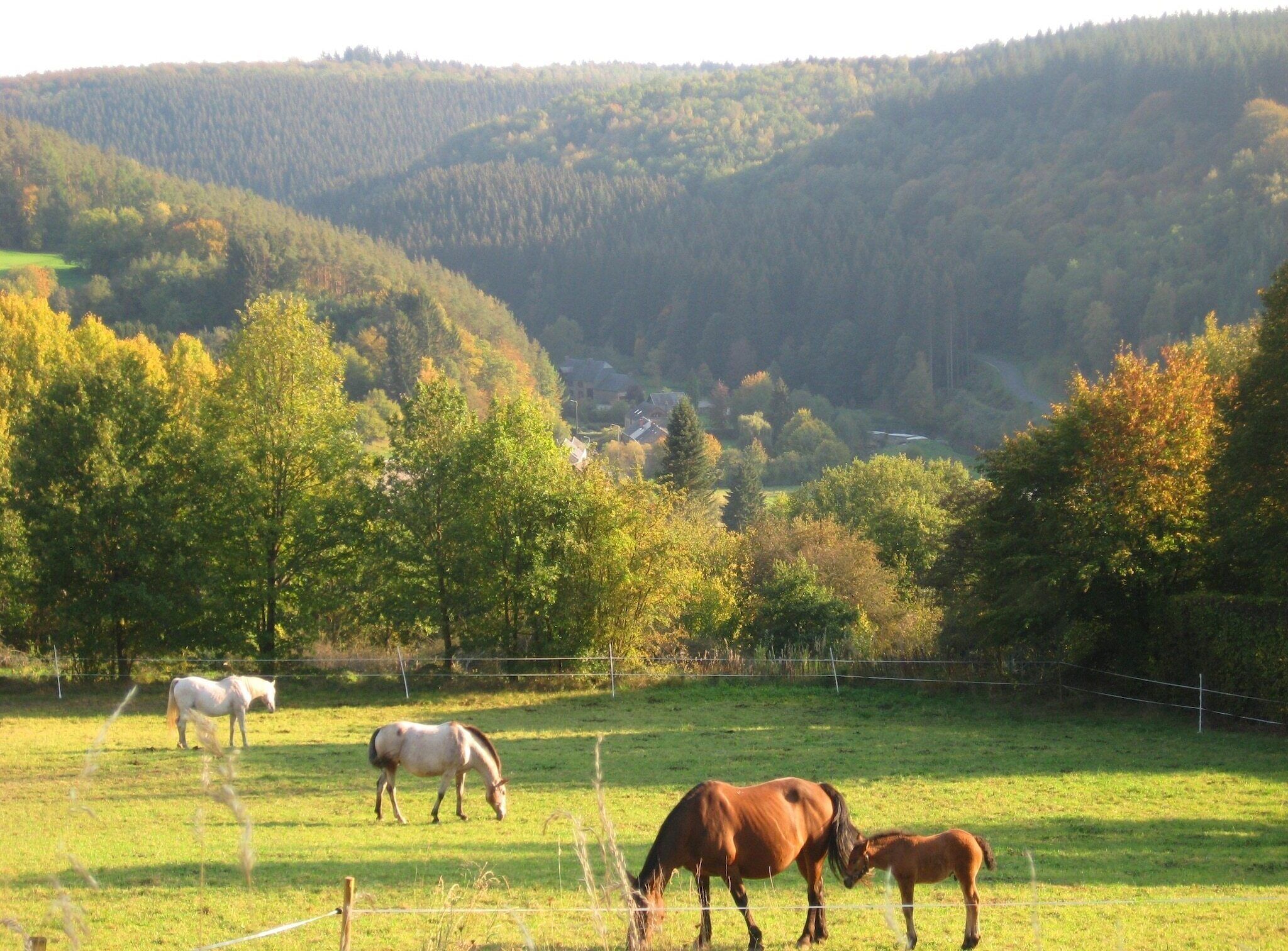 Direkte Umgebung [Sommer] (<1 km)