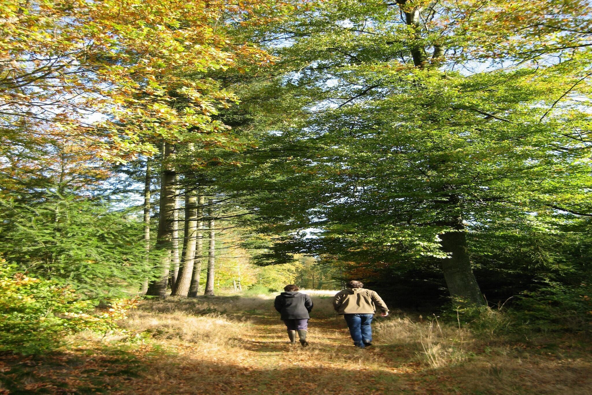 Due persone passeggiano su un sentiero boschivo, circondate dagli alberi.