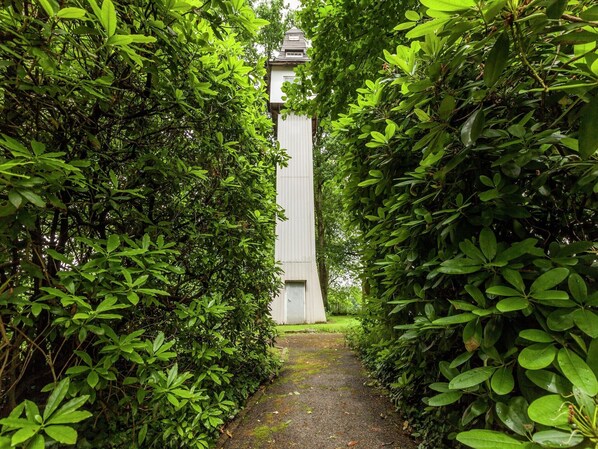 Property grounds - Cottage Near Durbuy Forest (Bohon-Durbuy)