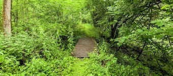Casa de campo cerca del bosque de Durbuy