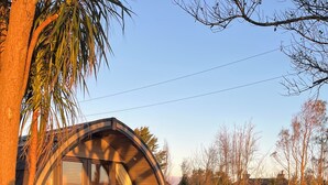 Una moderna casa de vidrio curvo con un patio y zona de estar, rodeada de un césped cuidado y árboles.