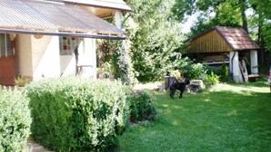 A house with a corrugated metal roof, a wooden door, and a small porch. There is a black dog in the yard. - Outdoor Adventure & Relaxation (Svinařov Slabce)