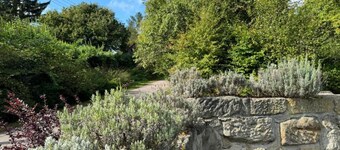 Tranquil North Bohemia Getaway