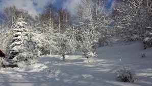 A snowy landscape with trees and a path.