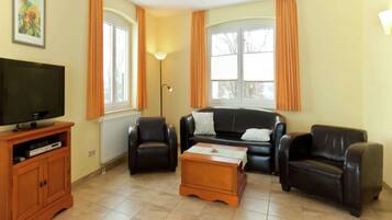 Fernseher, Kamin, DVD-Player