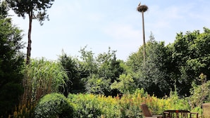 A garden with a wooden bench, a wooden chair, and a bird's nest on a tall pole. - Ferienwohnung Im Heumond in Buschhagen (Buschenhagen)