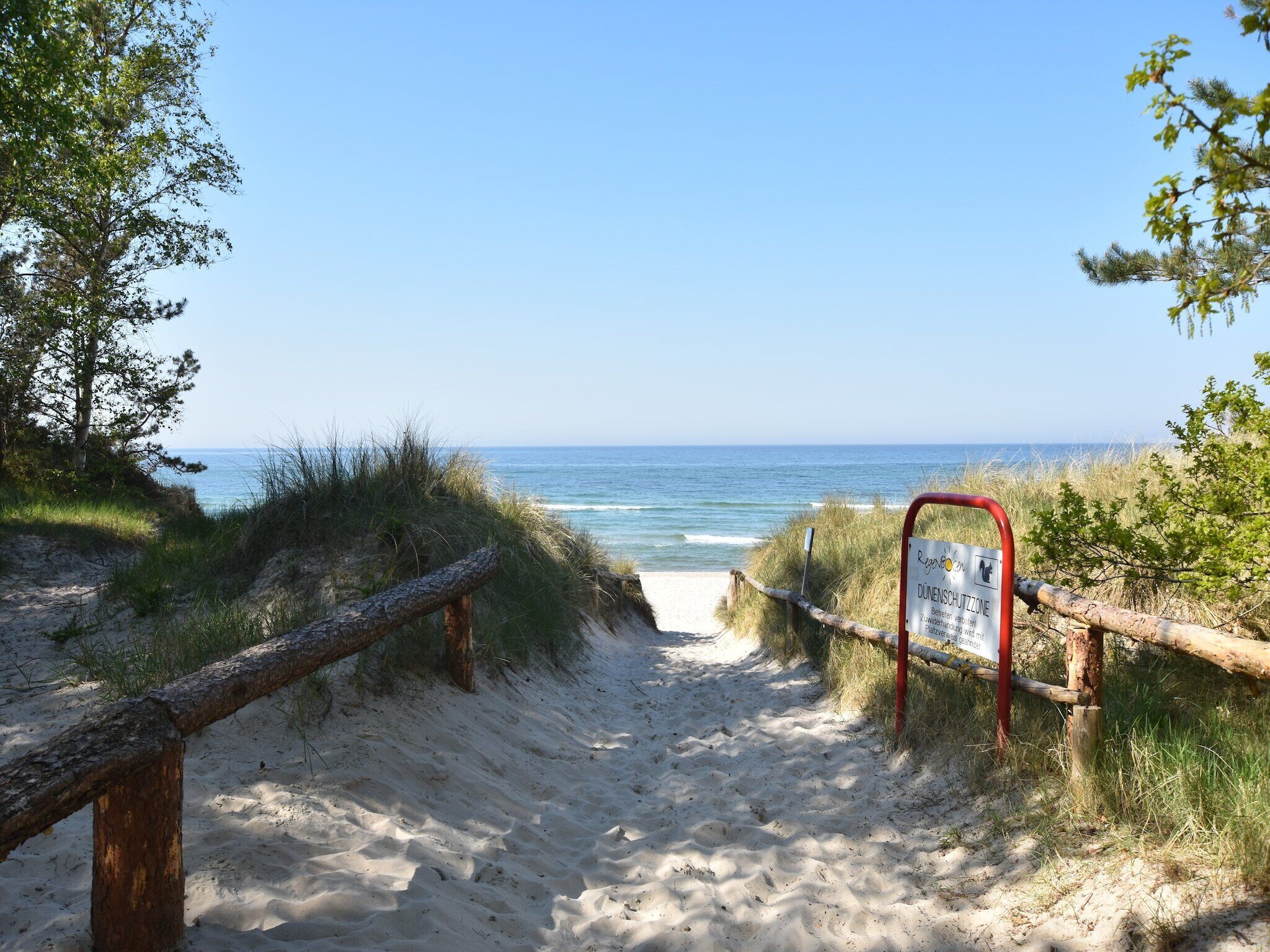 Nära stranden