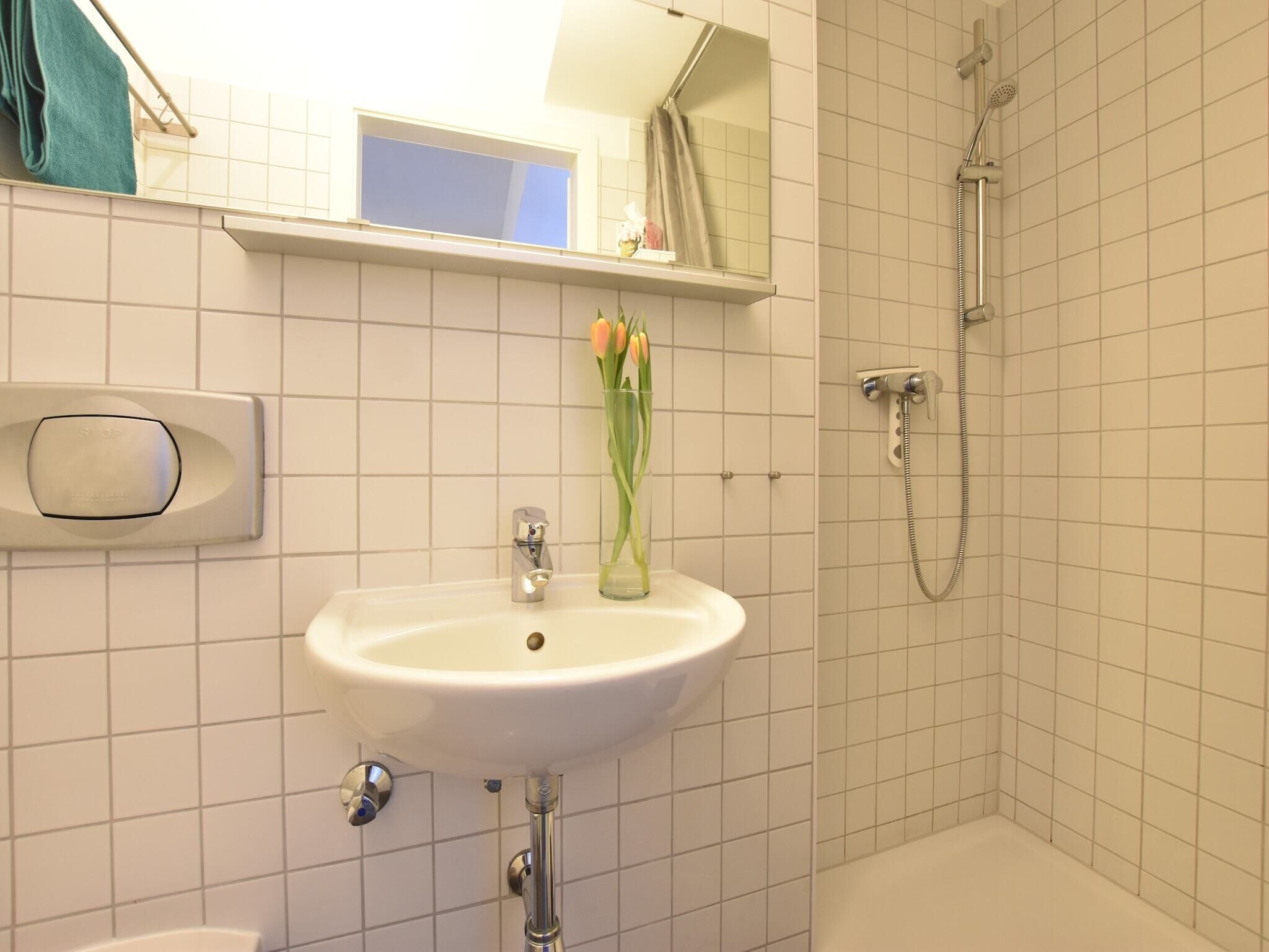 Ein Badezimmer mit weißem Waschbecken, einem Spiegel darüber, einer Dusche inklusive Handbrause und einem Handtuchhalter.