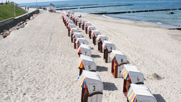 A beach with rows of numbered beach huts along the shore.
