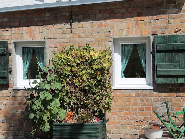 A brick building with two windows, each with green shutters and checkered curtains. - Wohnung in Ribnitz Damgarten (Ribnitz-Damgarten)