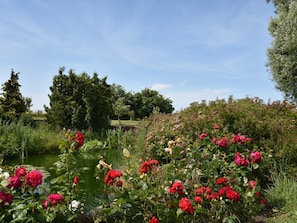 Un jardin avec un étang, entouré d’une végétation luxuriante et de fleurs en pleine floraison.