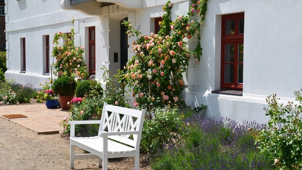 A white bench in front of a building with a white facade and red-framed windows. - Wohnung nahe Ostsee Kühlungsborn (Gerdshagen)