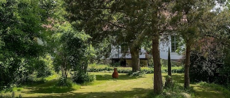 Un jardín con un camino que lleva a un edificio, rodeado de árboles y vegetación.