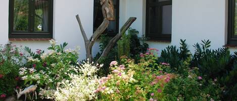 Detalle exterior