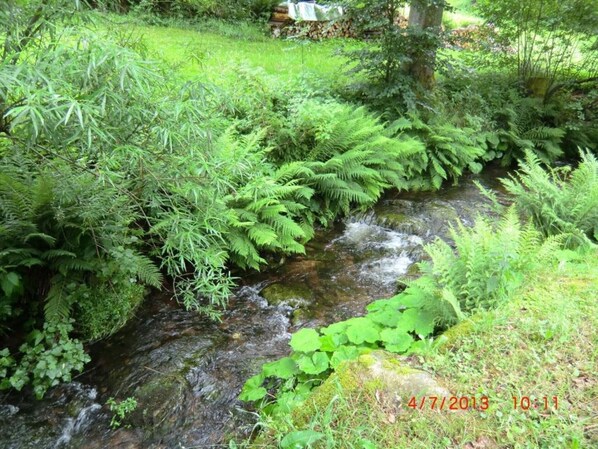 Overnatningsstedets område