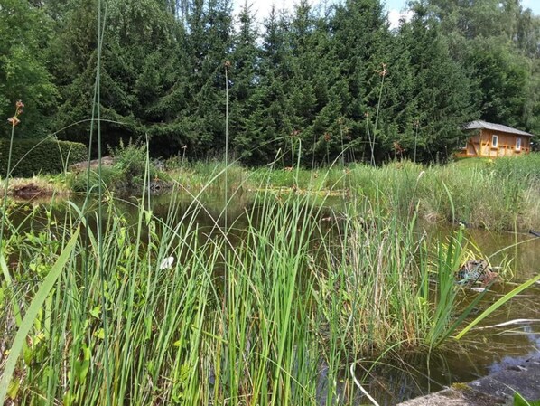 A natural landscape with a pond, dense greenery, and a wooden cabin.