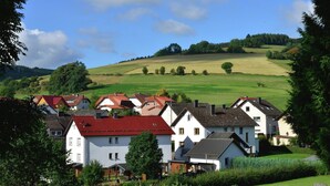 Uklassifisert bilde, 3 av 38, knapp