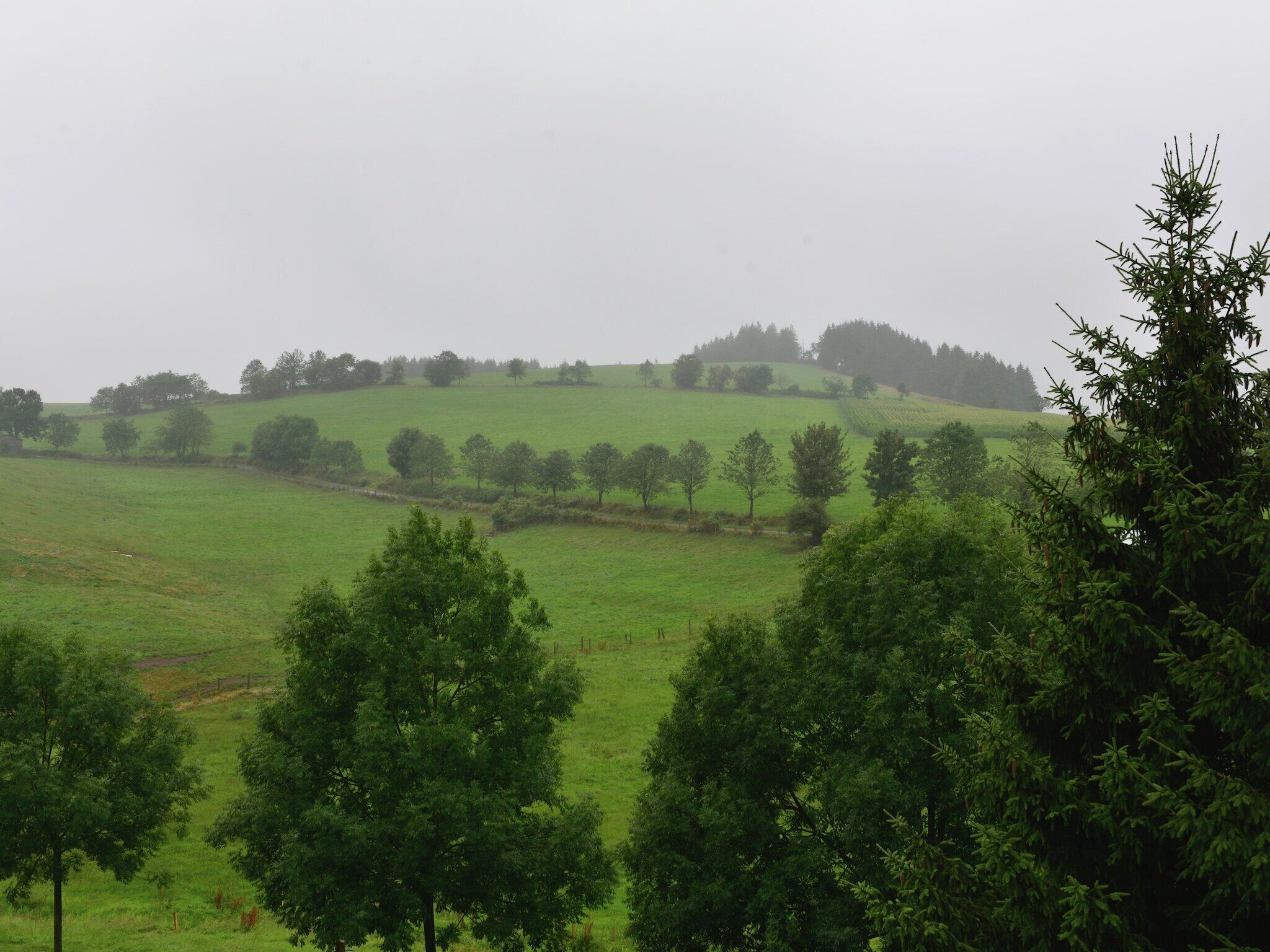 View from Holiday Home [summer]